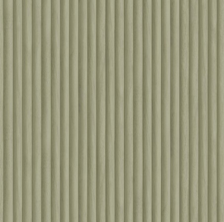 Ritratt ta’ Teak sage - 91860